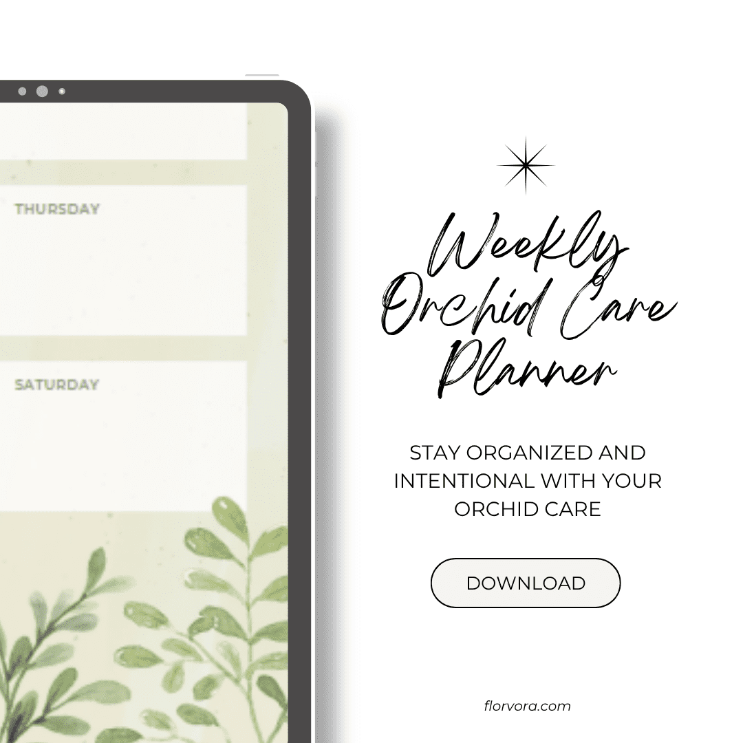 orchid planner