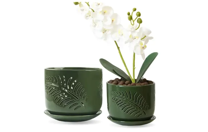 LITUDISO Ceramic Orchid Pots