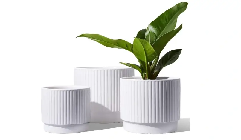 LE TAUCI White Classic Ceramic Orchid Pot