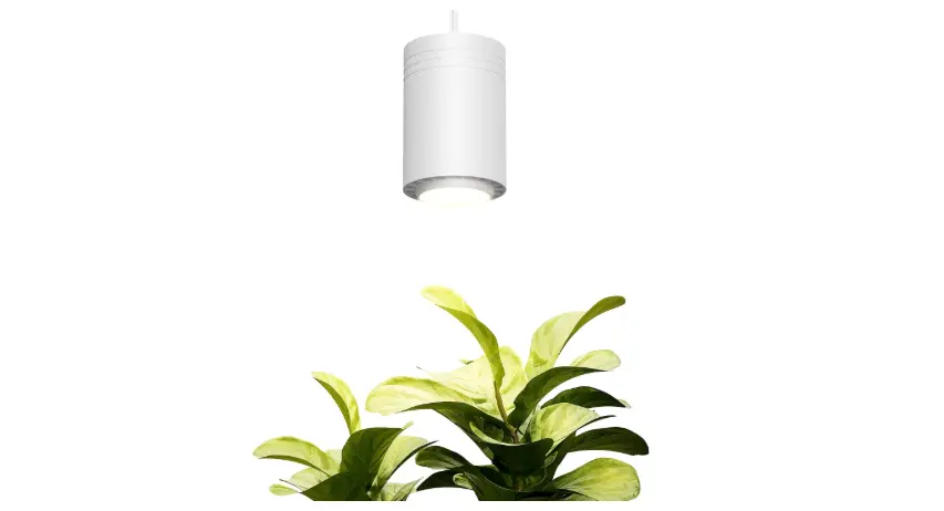 Aspect Decor Grow Light