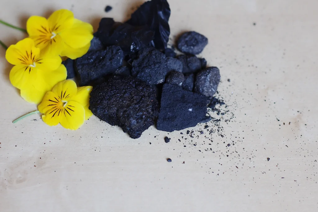 charcoal in orchids