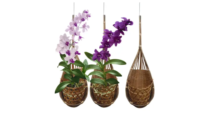 Thai Bamboo Hanging Orchid Basket