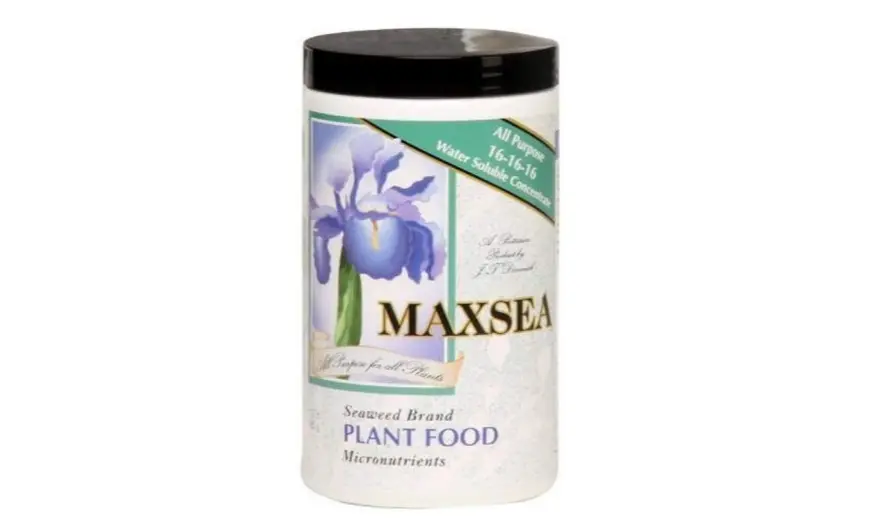 Maxsea Nutrient Fertilizer