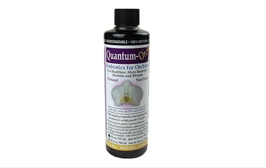 Quantum orchid