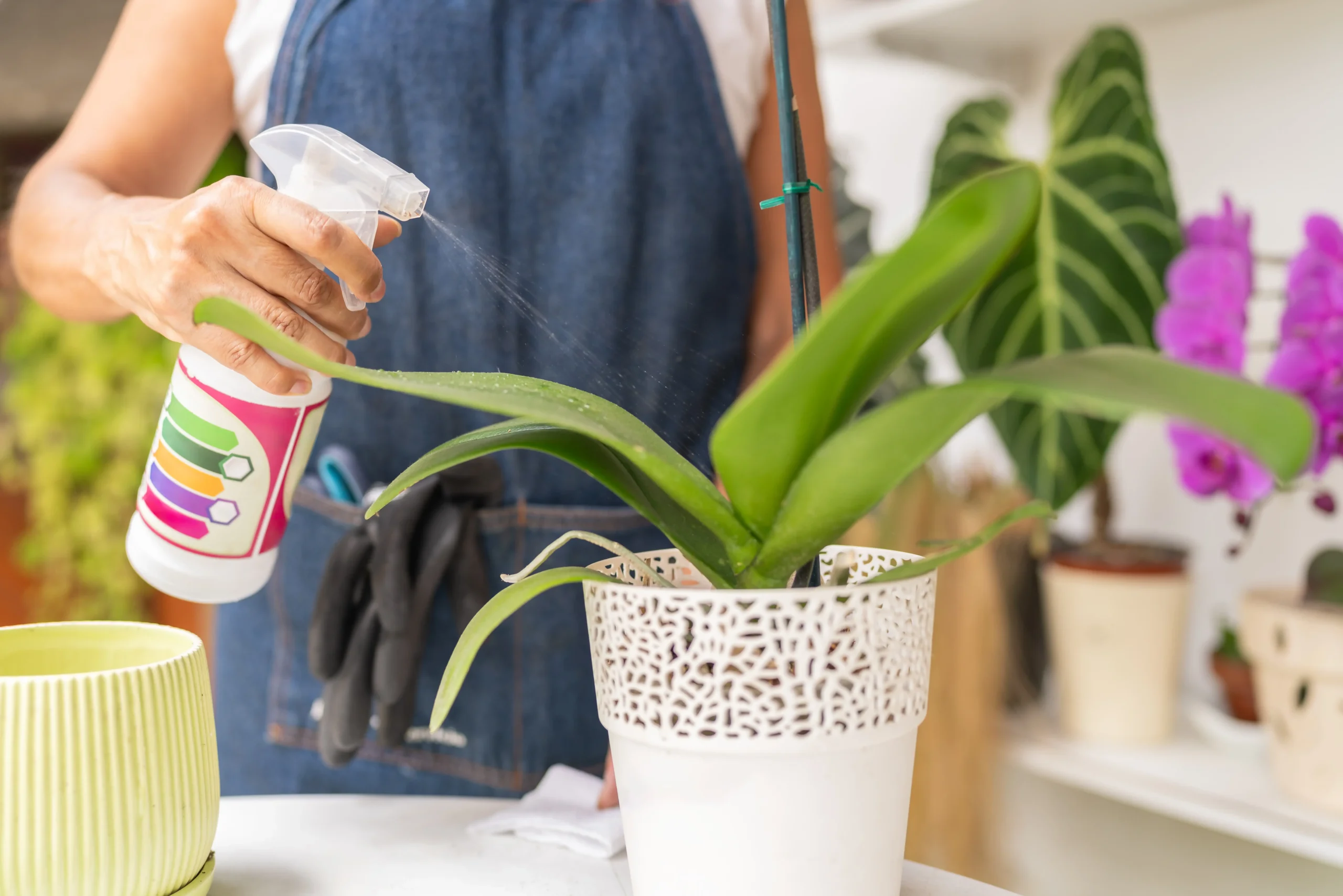 Miracle-Gro Suitable for Orchids